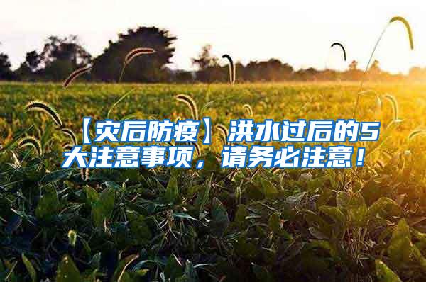【災后防疫】洪水過后的5大注意事項，請務必注意！