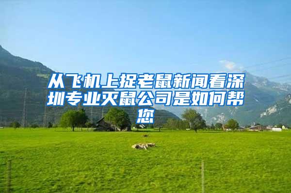 從飛機上捉老鼠新聞看深圳專業滅鼠公司是如何幫您