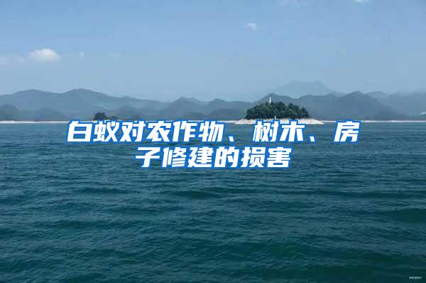 白蟻對農作物、樹木、房子修建的損害
