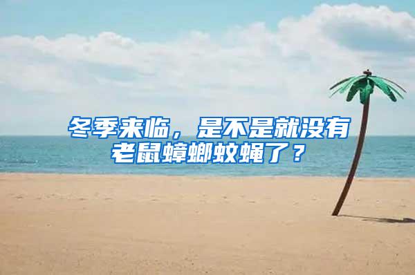冬季來(lái)臨，是不是就沒有老鼠蟑螂蚊蠅了？