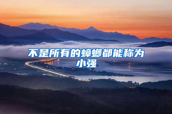 不是所有的蟑螂都能稱為小強