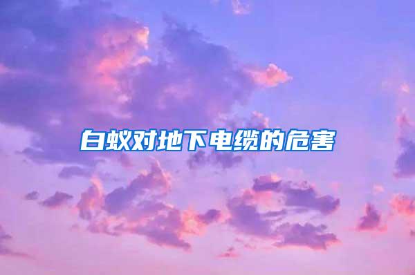 白蟻對地下電纜的危害