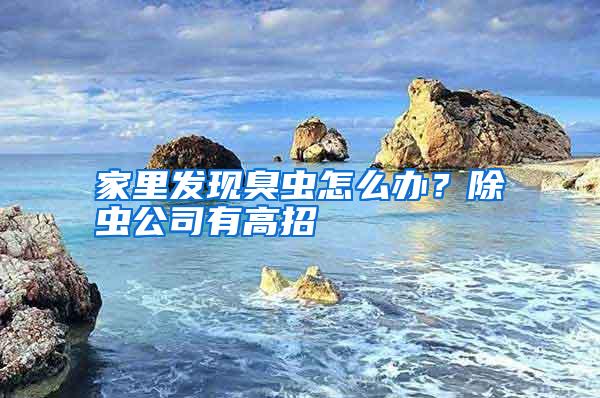 家里發現臭蟲怎么辦？除蟲公司有高招