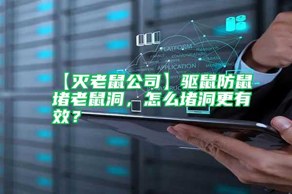 【滅老鼠公司】驅鼠防鼠堵老鼠洞，怎么堵洞更有效？