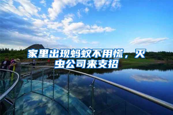 家里出現(xiàn)螞蟻不用慌，滅蟲公司來支招