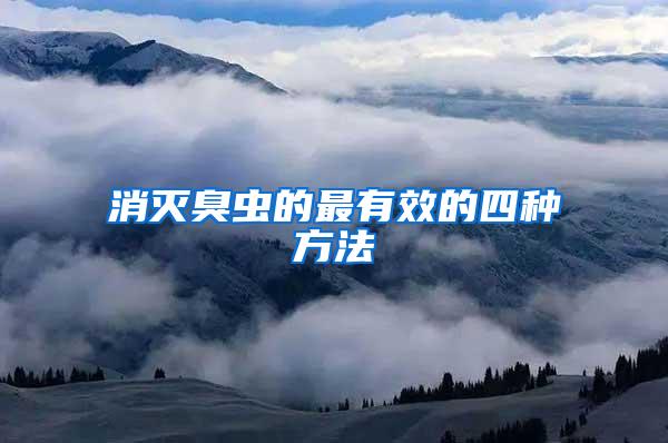 消滅臭蟲的最有效的四種方法
