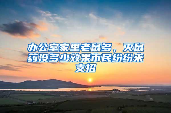 辦公室家里老鼠多，滅鼠藥沒(méi)多少效果市民紛紛來(lái)支招