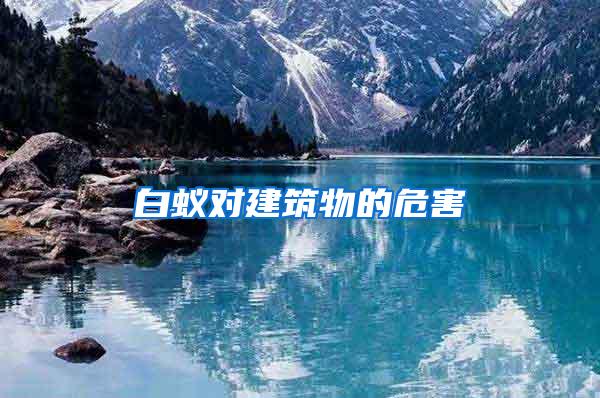 白蟻對建筑物的危害