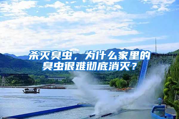 殺滅臭蟲，為什么家里的臭蟲很難徹底消滅？