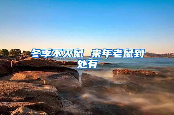 冬季不滅鼠 來(lái)年老鼠到處有