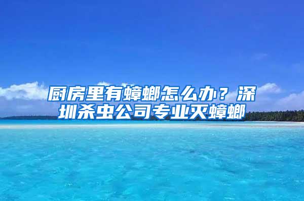 廚房里有蟑螂怎么辦？深圳殺蟲公司專業滅蟑螂
