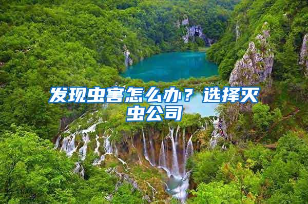 發(fā)現(xiàn)蟲害怎么辦？選擇滅蟲公司