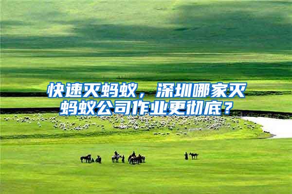快速滅螞蟻，深圳哪家滅螞蟻公司作業(yè)更徹底？