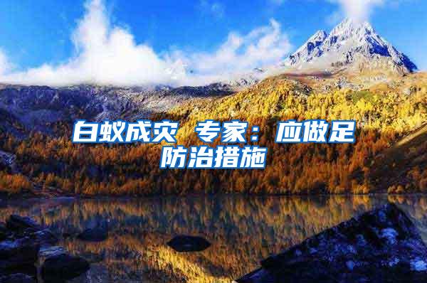 白蟻成災(zāi) 專家：應(yīng)做足防治措施