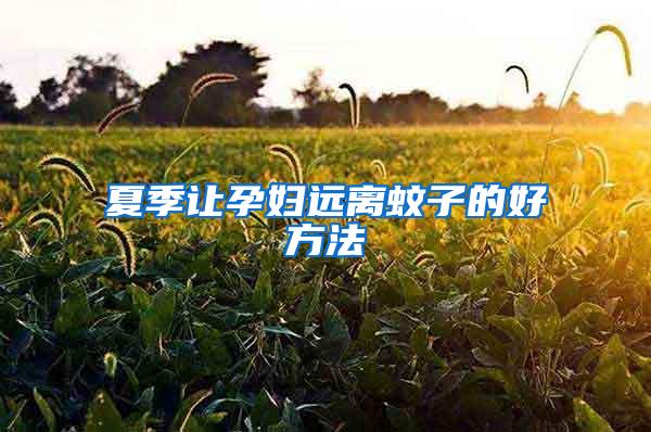 夏季讓孕婦遠離蚊子的好方法