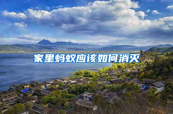 家里螞蟻應該如何消滅