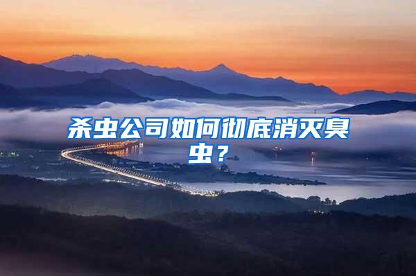 殺蟲公司如何徹底消滅臭蟲？
