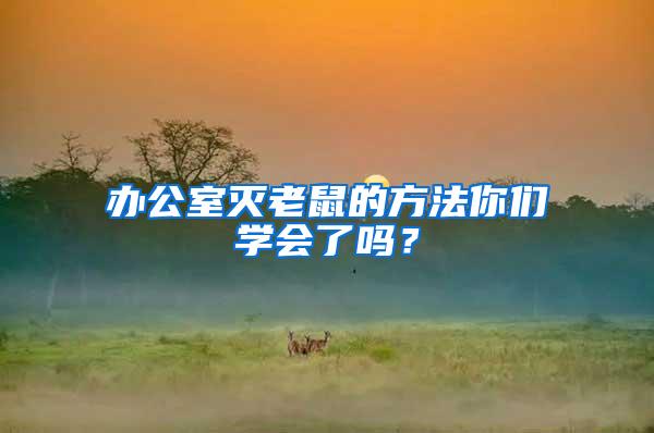 辦公室滅老鼠的方法你們學(xué)會(huì)了嗎？