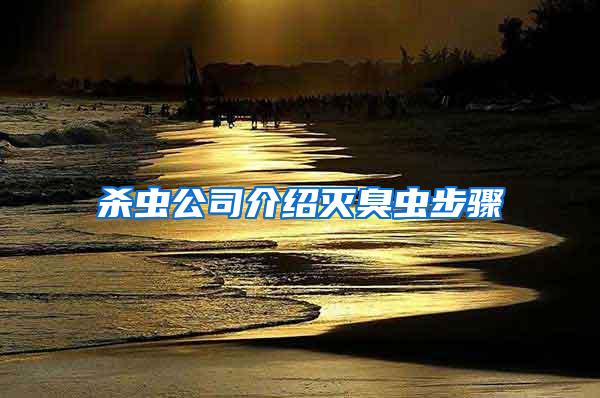 殺蟲公司介紹滅臭蟲步驟