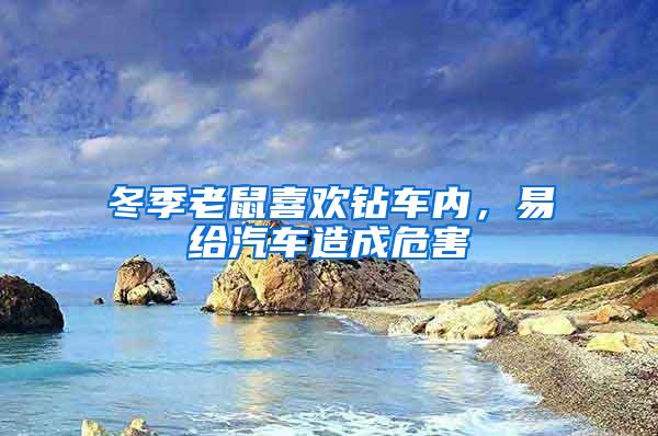 冬季老鼠喜歡鉆車內(nèi)，易給汽車造成危害