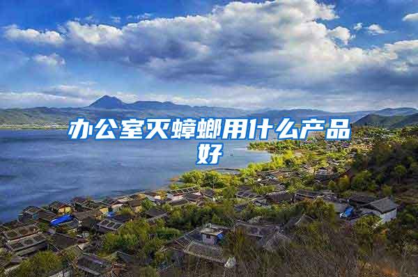 辦公室滅蟑螂用什么產品好