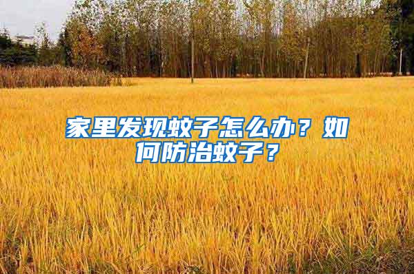 家里發現蚊子怎么辦？如何防治蚊子？