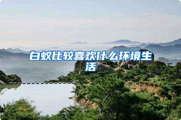 白蟻比較喜歡什么環境生活