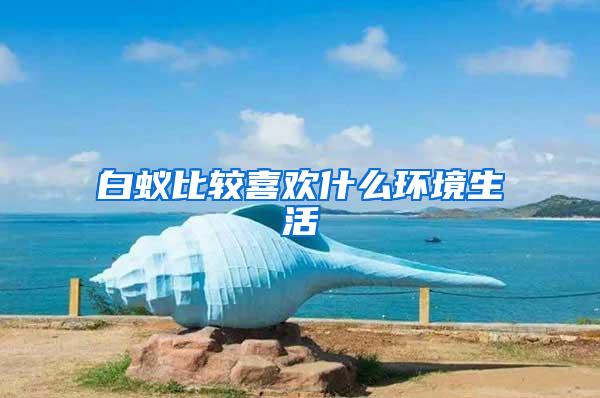 白蟻比較喜歡什么環(huán)境生活