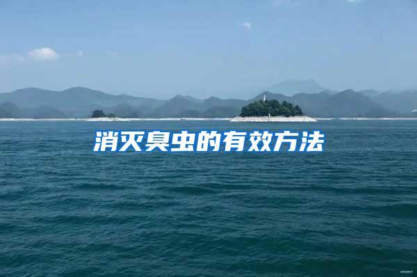 消滅臭蟲的有效方法