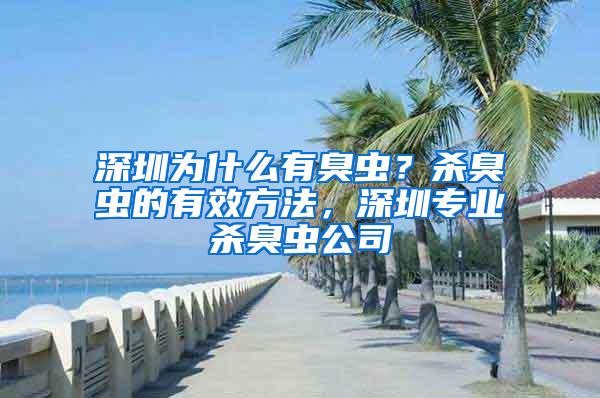 深圳為什么有臭蟲？殺臭蟲的有效方法，深圳專業殺臭蟲公司