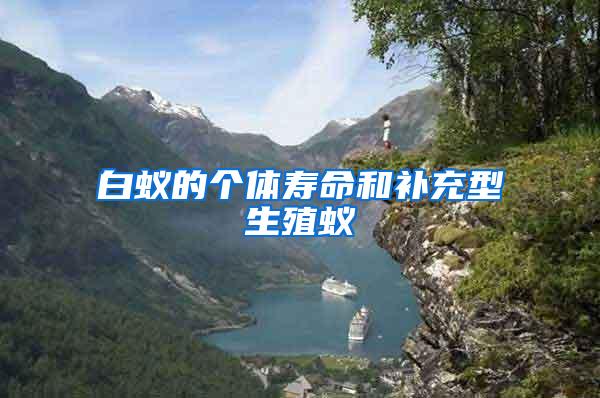 白蟻的個體壽命和補充型生殖蟻