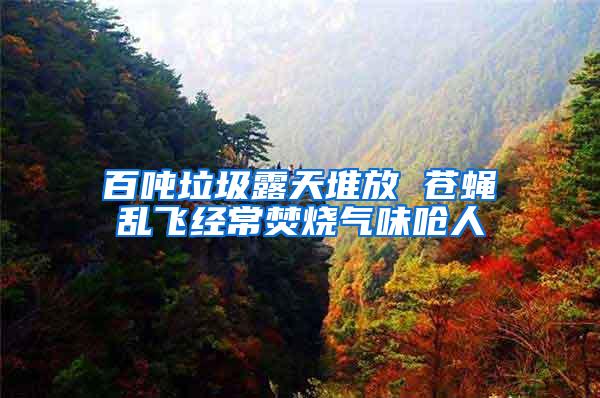 百噸垃圾露天堆放 蒼蠅亂飛經常焚燒氣味嗆人