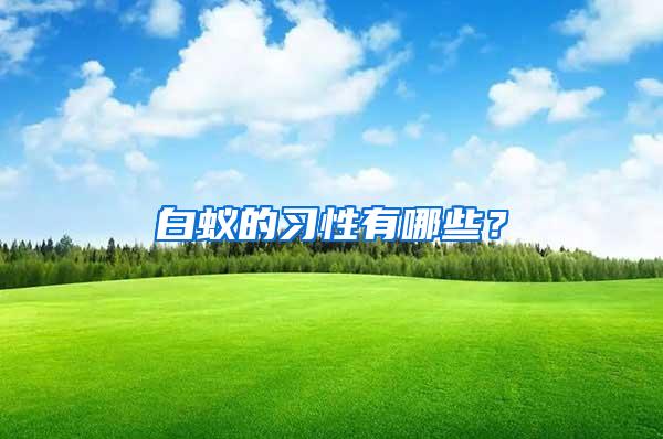 白蟻的習性有哪些？