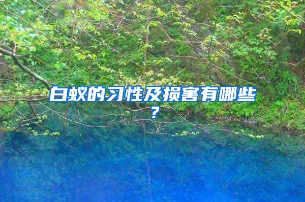 白蟻的習性及損害有哪些？