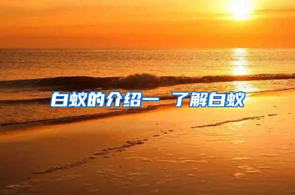 白蟻的介紹一 了解白蟻