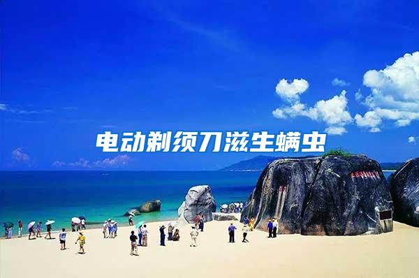 電動剃須刀滋生螨蟲