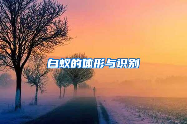 白蟻的體形與識別