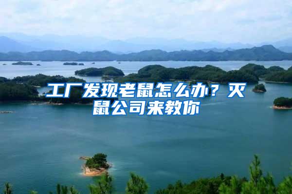 工廠發(fā)現(xiàn)老鼠怎么辦？滅鼠公司來教你