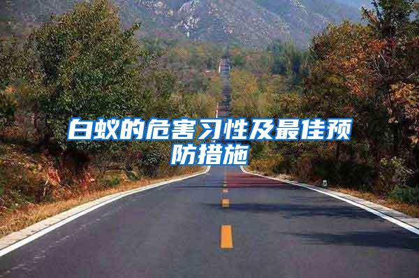 白蟻的危害習性及最佳預防措施