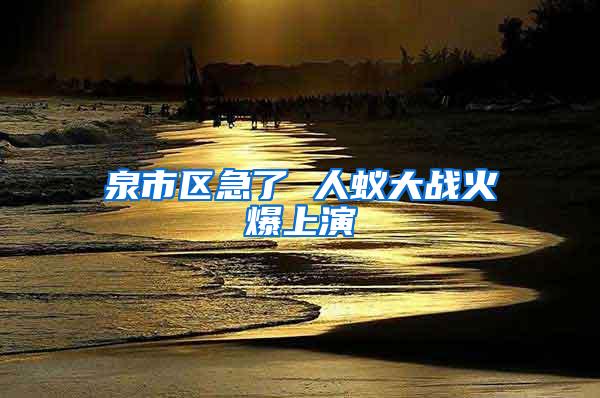 泉市區(qū)急了 人蟻大戰(zhàn)火爆上演