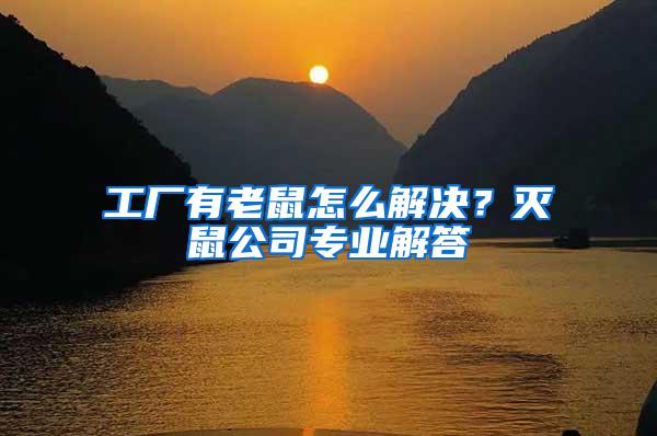 工廠有老鼠怎么解決？滅鼠公司專業解答