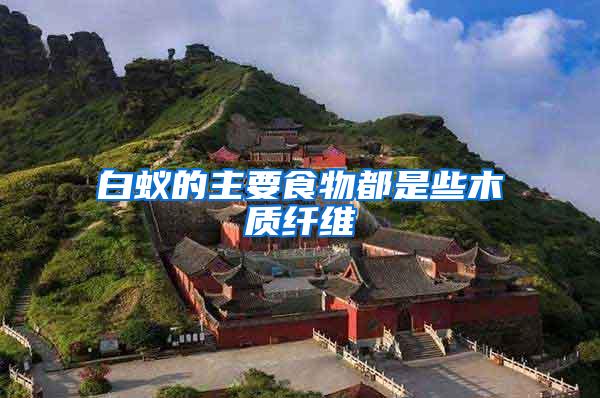 白蟻的主要食物都是些木質(zhì)纖維