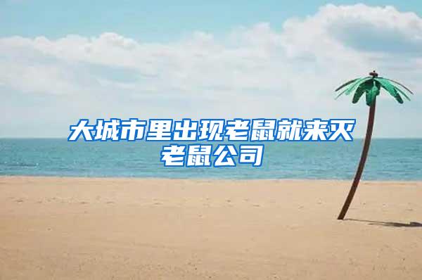 大城市里出現(xiàn)老鼠就來滅老鼠公司