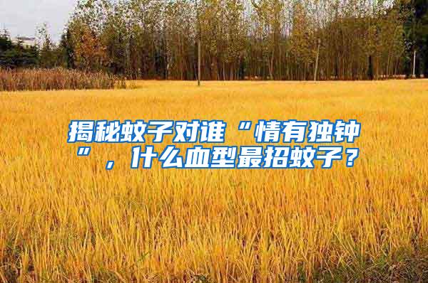 揭秘蚊子對誰“情有獨鐘”，什么血型最招蚊子？