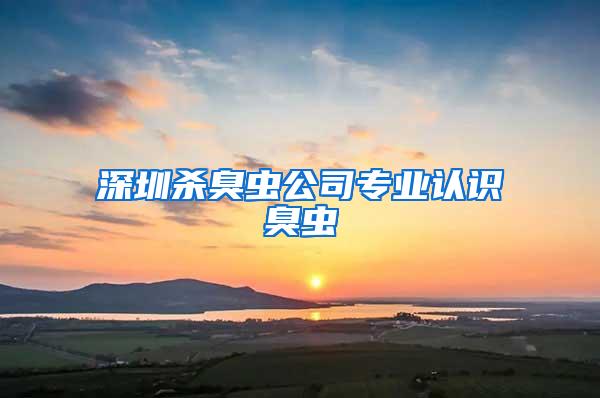 深圳殺臭蟲公司專業認識臭蟲