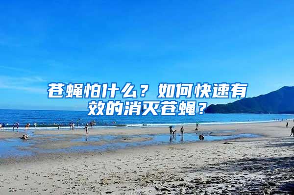 蒼蠅怕什么？如何快速有效的消滅蒼蠅？