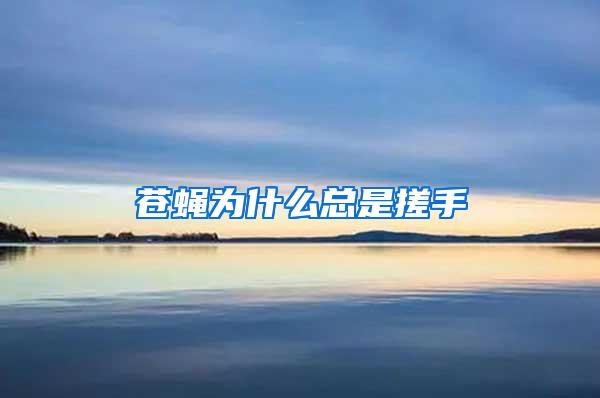 蒼蠅為什么總是搓手