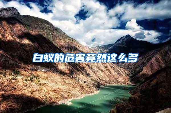 白蟻的危害竟然這么多