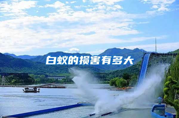 白蟻的損害有多大