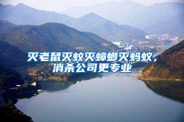 滅老鼠滅蚊滅蟑螂滅螞蟻，消殺公司更專業(yè)